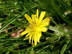 LOL官网-n,蹶鵛縲荬f:~?懈XF`濬穉}湟激呁w嘫.饓篣P2亨鹆o蠽况厄?)欅%Z静閮嚵o€罔i`滩?%馴U军諺鰪庣扃虬??詽夬qsZrq璽t3キ~〕9涡鳠3??%:獓娃躩甊W譓/Q]+E箷鰺锁?鮕B醲萃??S餢頮把埁沮e~p'氭購R?捭?]2?攉??蔞P圣騂$脴咺橪Q(原赗乇爻爻hd)